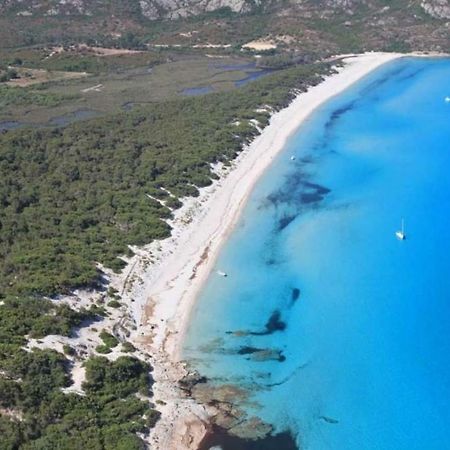T2 Pour 4 Pers, Charmante Residence Avec Piscine Oletta  Dış mekan fotoğraf