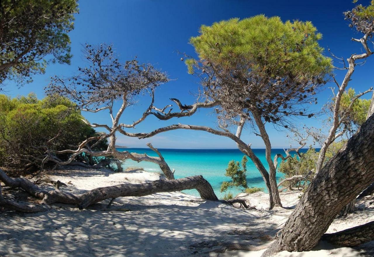 T2 Pour 4 Pers, Charmante Residence Avec Piscine Oletta  Dış mekan fotoğraf
