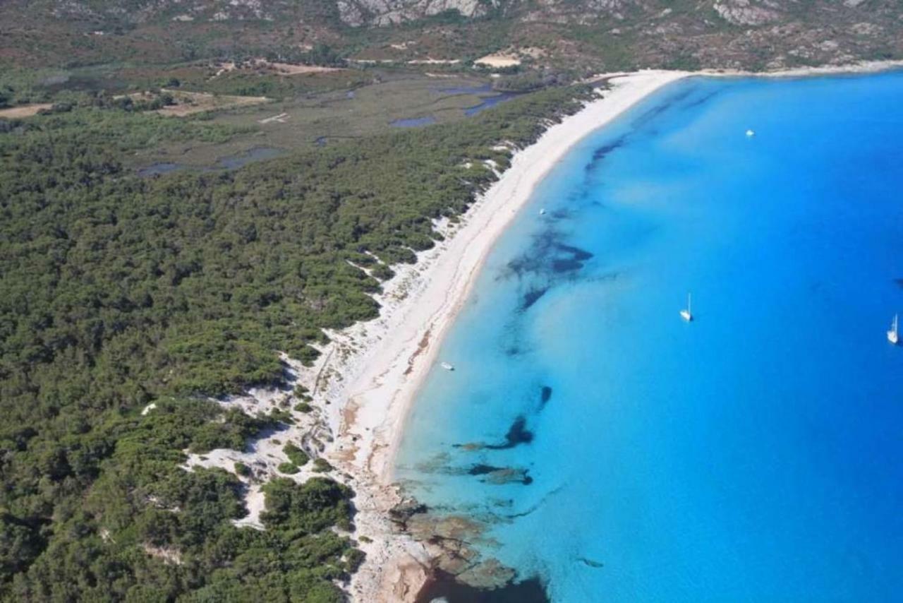 T2 Pour 4 Pers, Charmante Residence Avec Piscine Oletta  Dış mekan fotoğraf